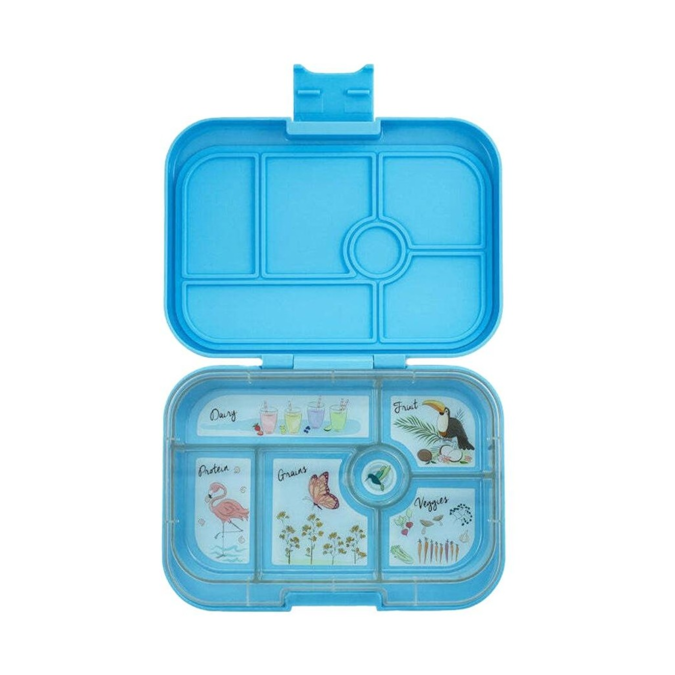 Big WBento Lunch Box