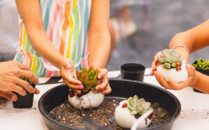 Kids Succulent Workshops
